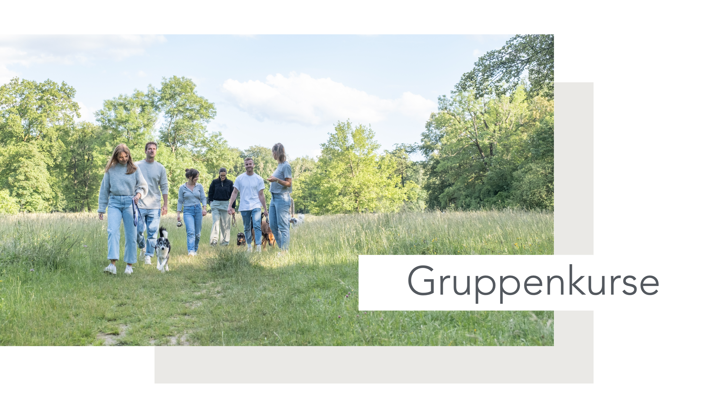 Hundeschule, Ammersee, halb so wild, Hundetraining, Welpen, Junghunde, Tierschutz, München, Social Walk, Workshop, Dummy, Leine, Hund, Hunde, Landsberg, Schulhunde, Maulkorb